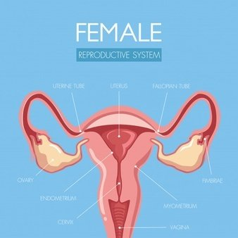 陰道分泌物黄瓜视频免费下载提醒女人婚後得了婦科病做到這5點，發炎不來擾