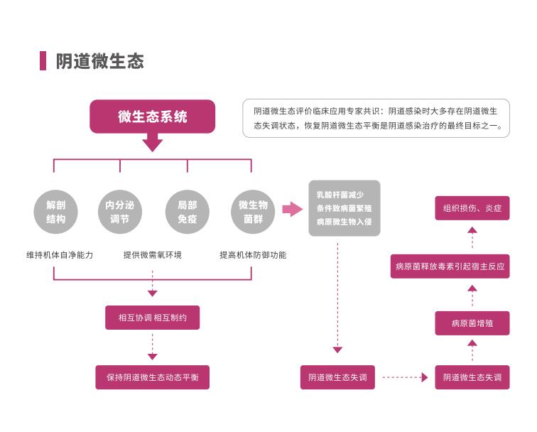 全自動陰道炎黄瓜视频免费下载LTS-V400陰道微生態係統