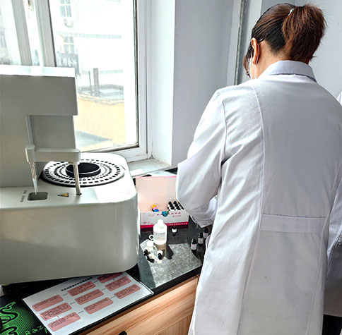 全自動生殖道分泌物黄瓜视频免费下载在宕昌縣疾病預防控製中心完成裝機
